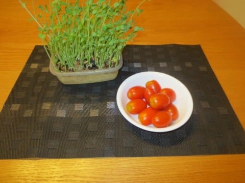 豆苗とトマト