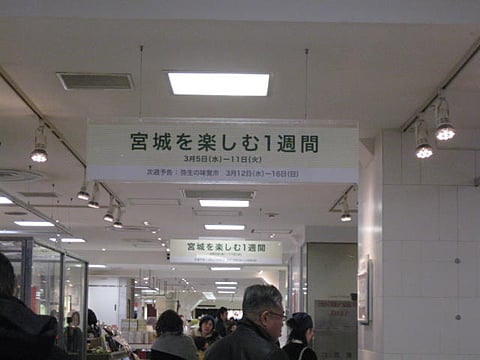 宮城を楽しむ一週間