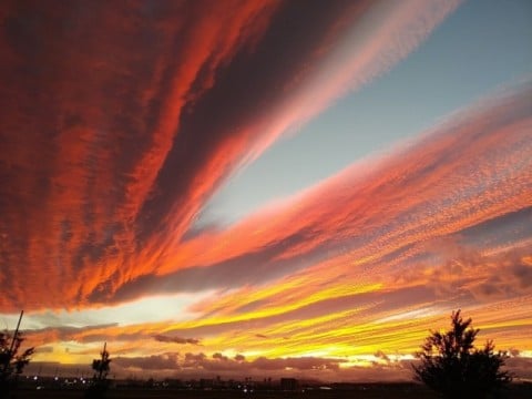 茜空