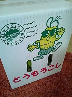 朝採れ嶽きみ