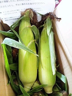 嶽きみ