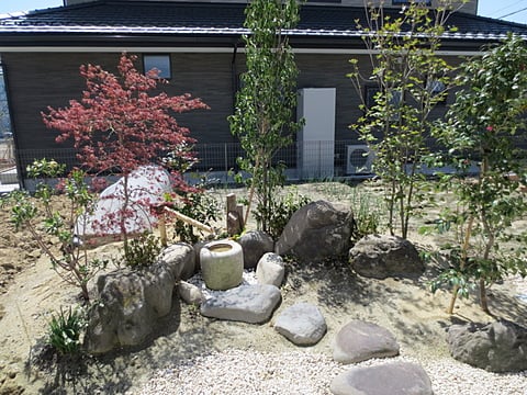 庭
